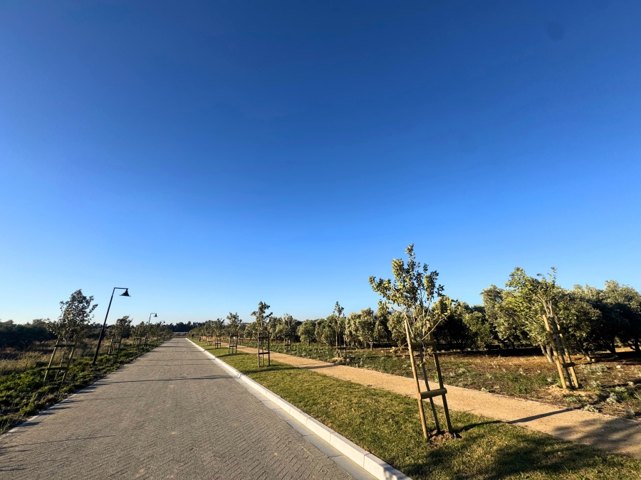 0 Bedroom Property for Sale in Mount Vernon Residential Estate Western Cape